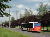 MAN Lion'sCity LL NL313-15 #620