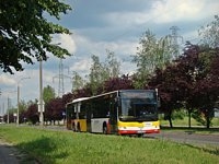 MAN Lion'sCity LL NL313-15 #620