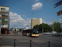 MAN Lion'sCity LL NL313-15 #620