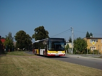 MAN Lion'sCity LL NL313-15 #620