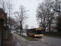 MAN Lion'sCity LL NL313-15 #620