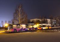 MAN Lion'sCity LL NL313-15 #620