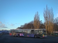 MAN Lion'sCity LL NL313-15 #620