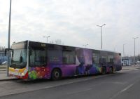 MAN Lion'sCity LL NL313-15 #620