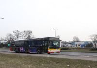 MAN Lion'sCity LL NL313-15 #620