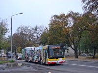 MAN Lion'sCity LL NL313-15 #621