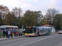 MAN Lion'sCity LL NL313-15 #621