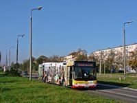 MAN Lion'sCity LL NL313-15 #621