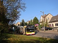 MAN Lion'sCity LL NL313-15 #621