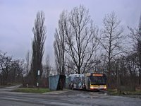 MAN Lion'sCity LL NL313-15 #621