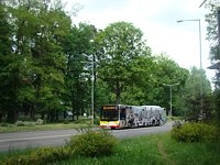 MAN Lion'sCity LL NL313-15 #621