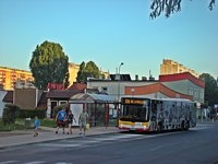 MAN Lion'sCity LL NL313-15 #621