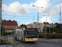 MAN Lion'sCity LL NL313-15 #621