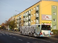 MAN Lion'sCity LL NL313-15 #621