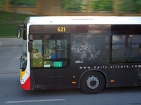 MAN Lion'sCity LL NL313-15 #621