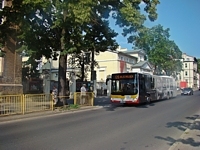 MAN Lion'sCity LL NL313-15 #621