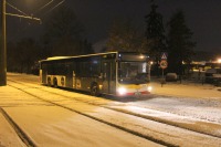 MAN Lion'sCity LL NL313-15 #621