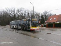 MAN Lion'sCity LL NL313-15 #621