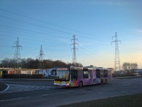 MAN Lion'sCity LL NL313-15 #621