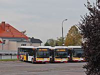 MAN Lion'sCity LL NL313-15 #622