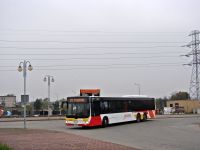 MAN Lion'sCity LL NL313-15 #622