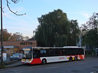 MAN Lion'sCity LL NL313-15 #622