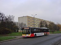 MAN Lion'sCity LL NL313-15 #622