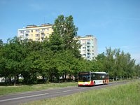 MAN Lion'sCity LL NL313-15 #622