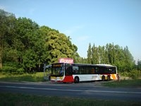 MAN Lion'sCity LL NL313-15 #622