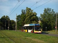 MAN Lion'sCity LL NL313-15 #622