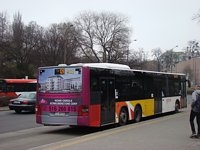 MAN Lion'sCity LL NL313-15 #622