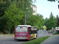 MAN Lion'sCity LL NL313-15 #622