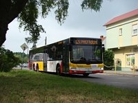 MAN Lion'sCity LL NL313-15 #622