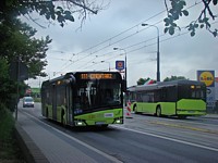 Solaris Urbino 12 #624