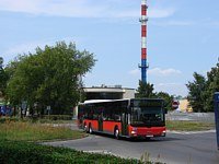 MAN Lion'sCity LL NL313-15