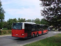 MAN Lion'sCity LL NL313-15