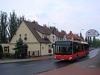 MAN Lion'sCity LL NL313-15