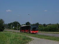 MAN Lion'sCity LL NL313-15