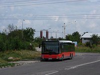 MAN Lion'sCity LL NL313-15